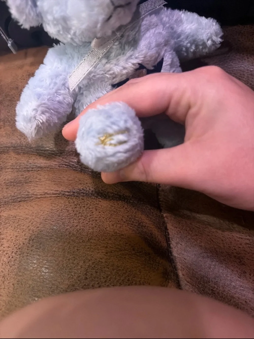 Plush Light Blue Star Bear Soft Toy